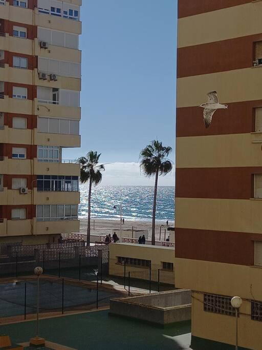 Alegrias De Cadiz By Gades Gestion Apartment ภายนอก รูปภาพ